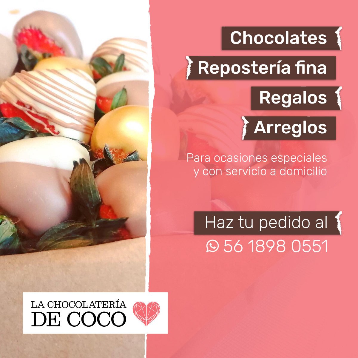 sheep img cliente choco1