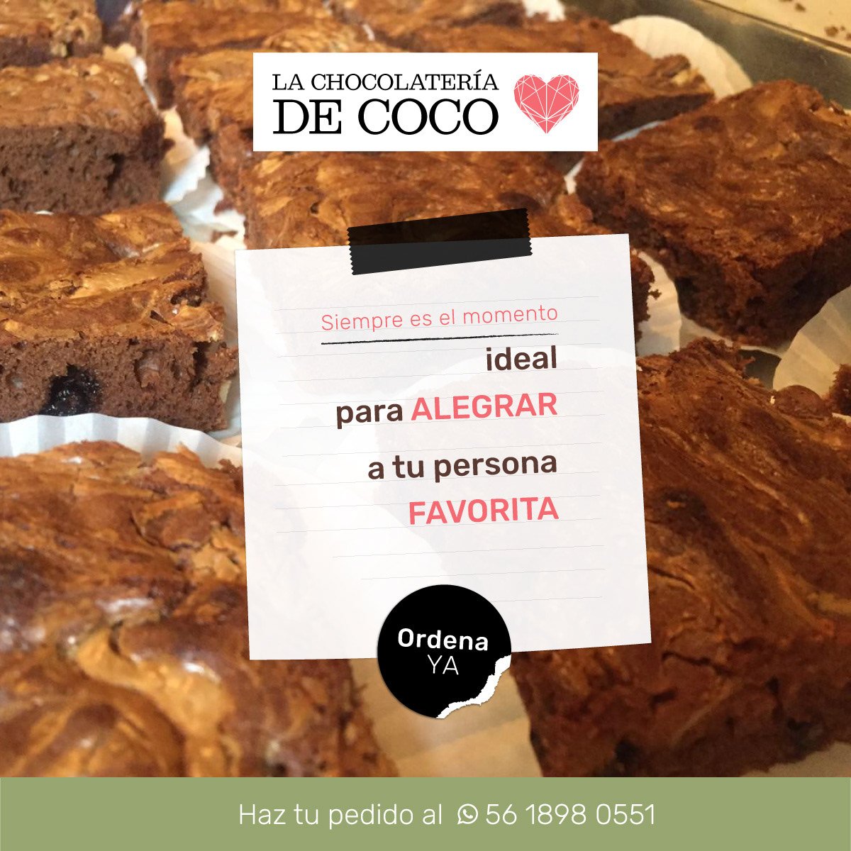 sheep img cliente choco2