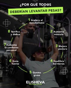 sheep img cliente elishevawc1