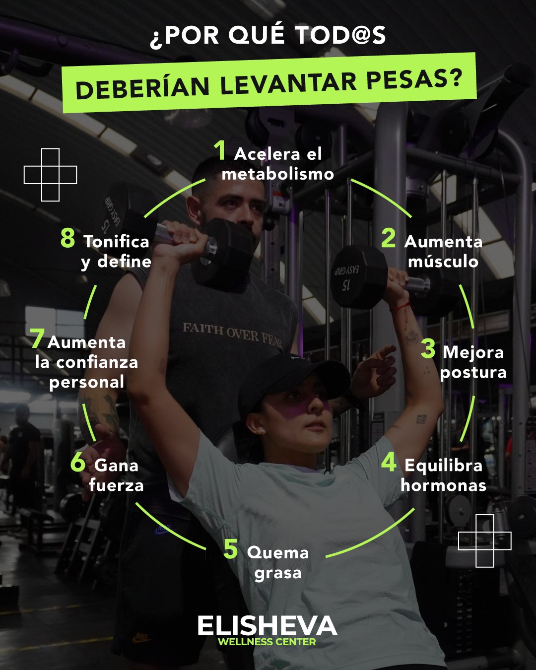 sheep img cliente elishevawc1