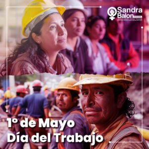 sheep img cliente sandra2