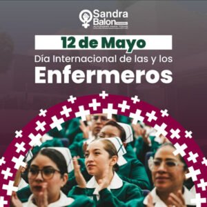 sheep img cliente sandra6