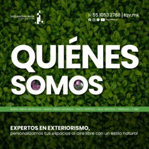 sheep img cliente tqv1