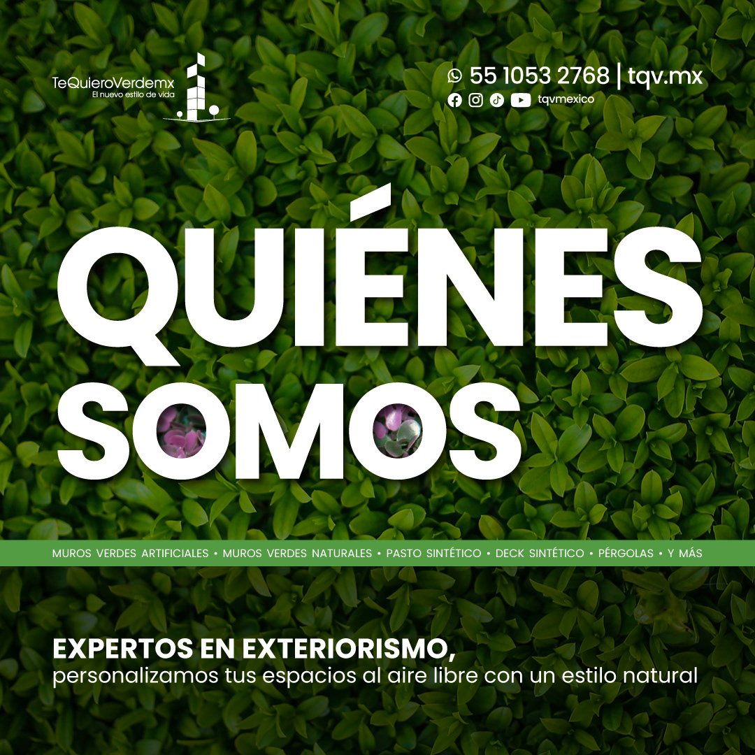 sheep img cliente tqv1