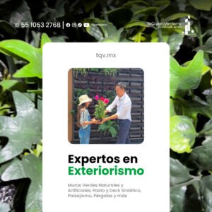 sheep img cliente tqv2