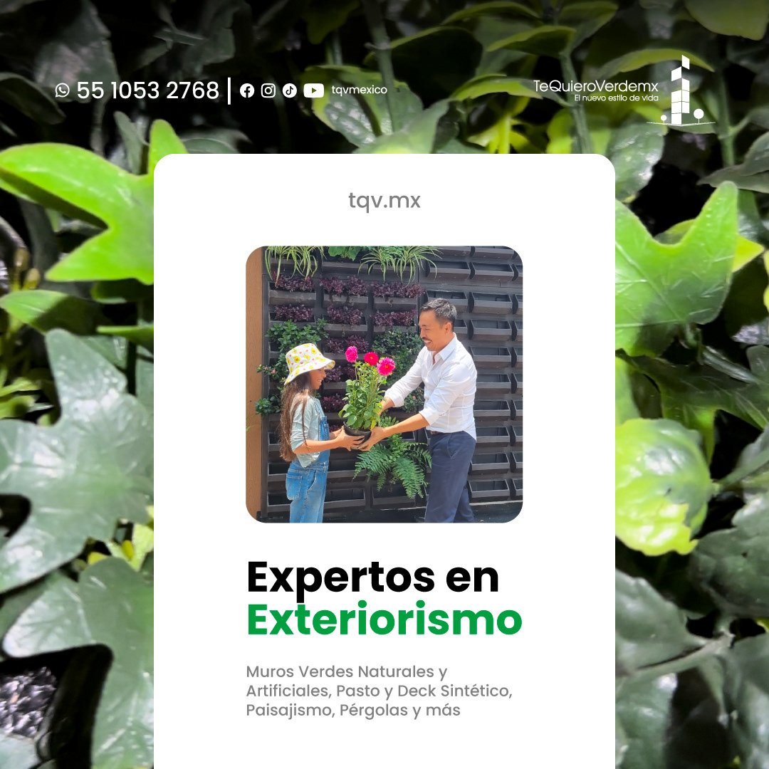 sheep img cliente tqv2