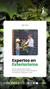 sheep img cliente tqv3