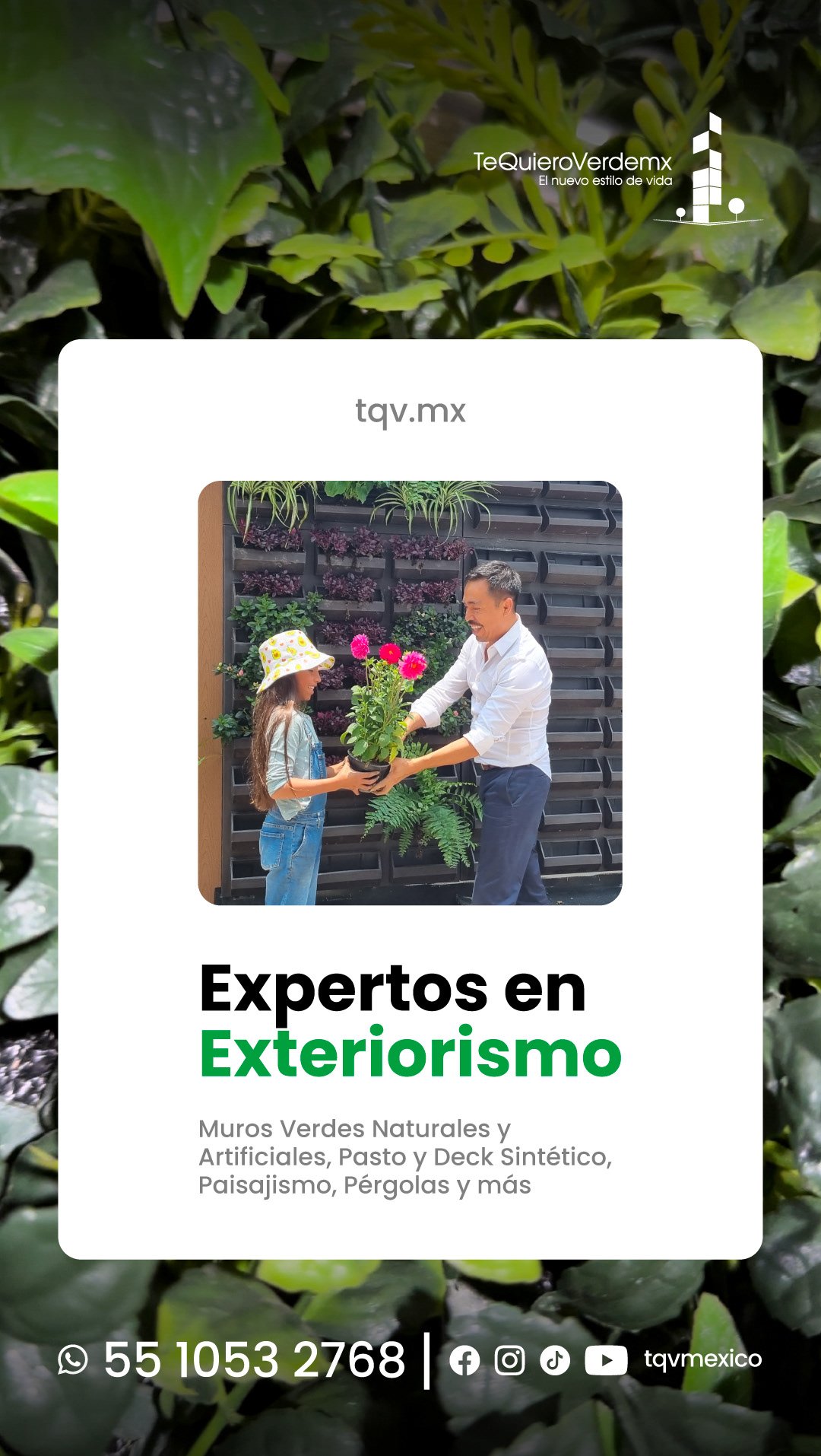 sheep img cliente tqv3