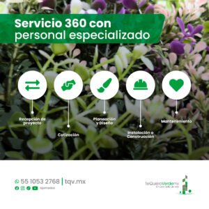 sheep img cliente tqv4