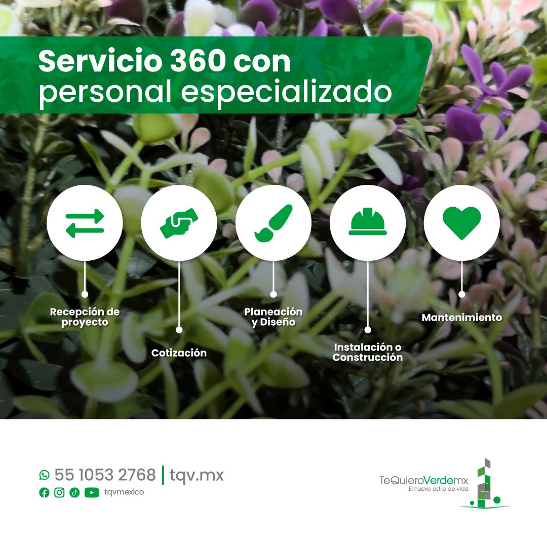 sheep img cliente tqv4