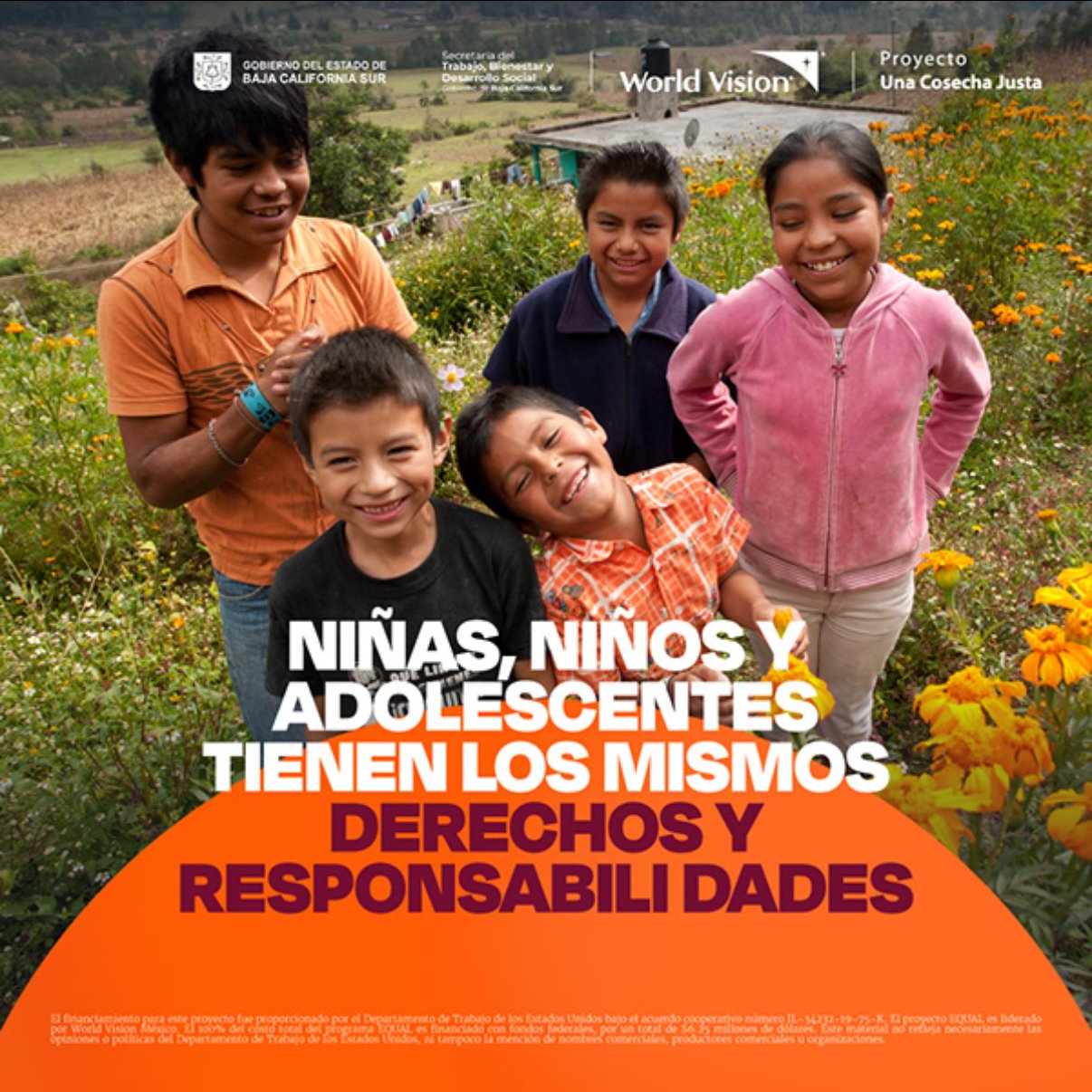 sheep img cliente wvm4