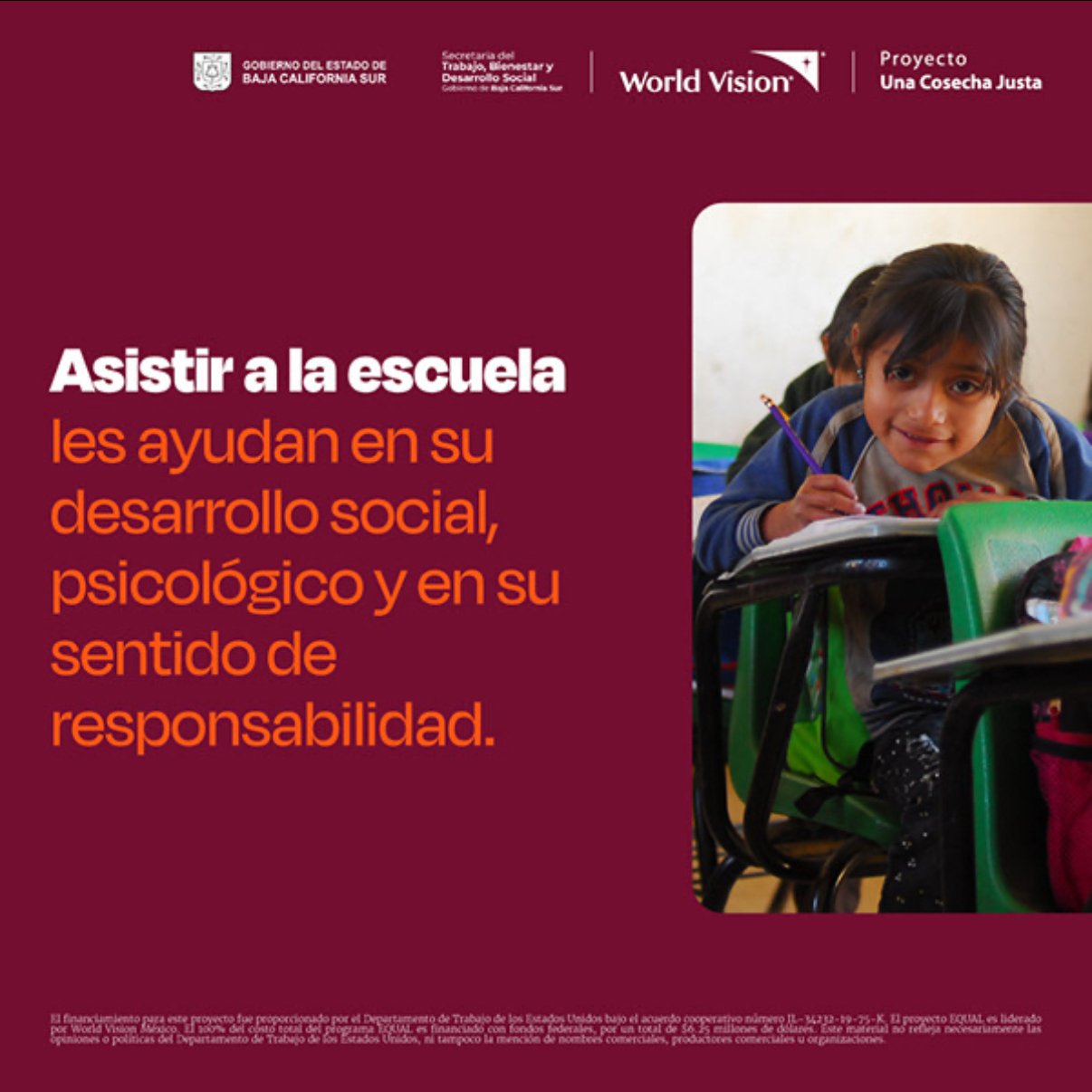 sheep img cliente wvm5