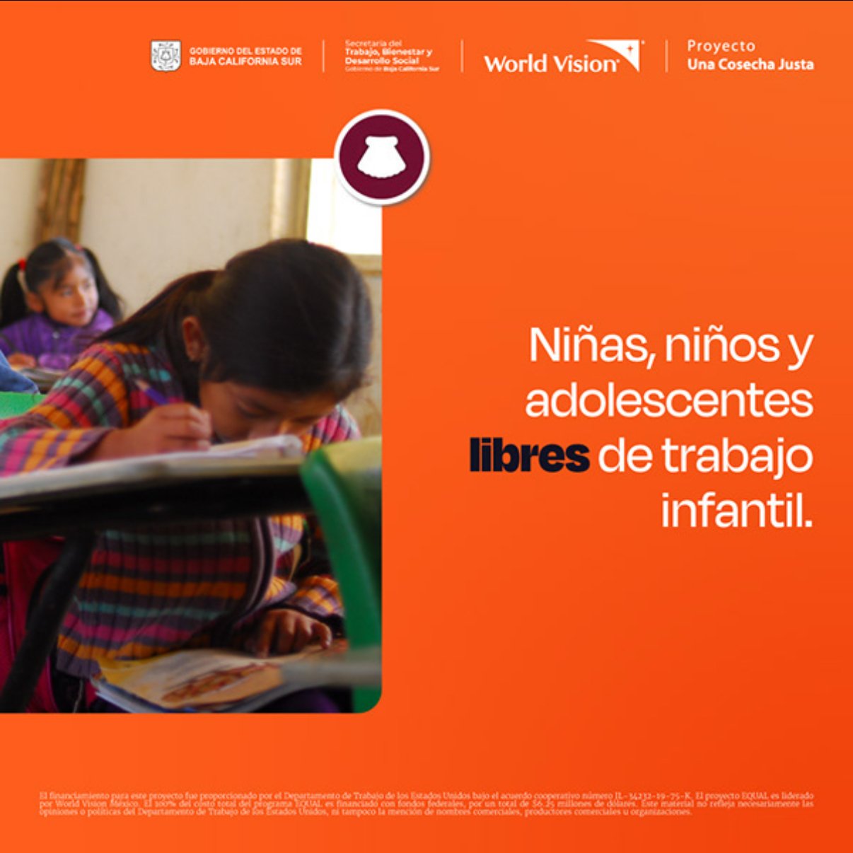 sheep img cliente wvm6