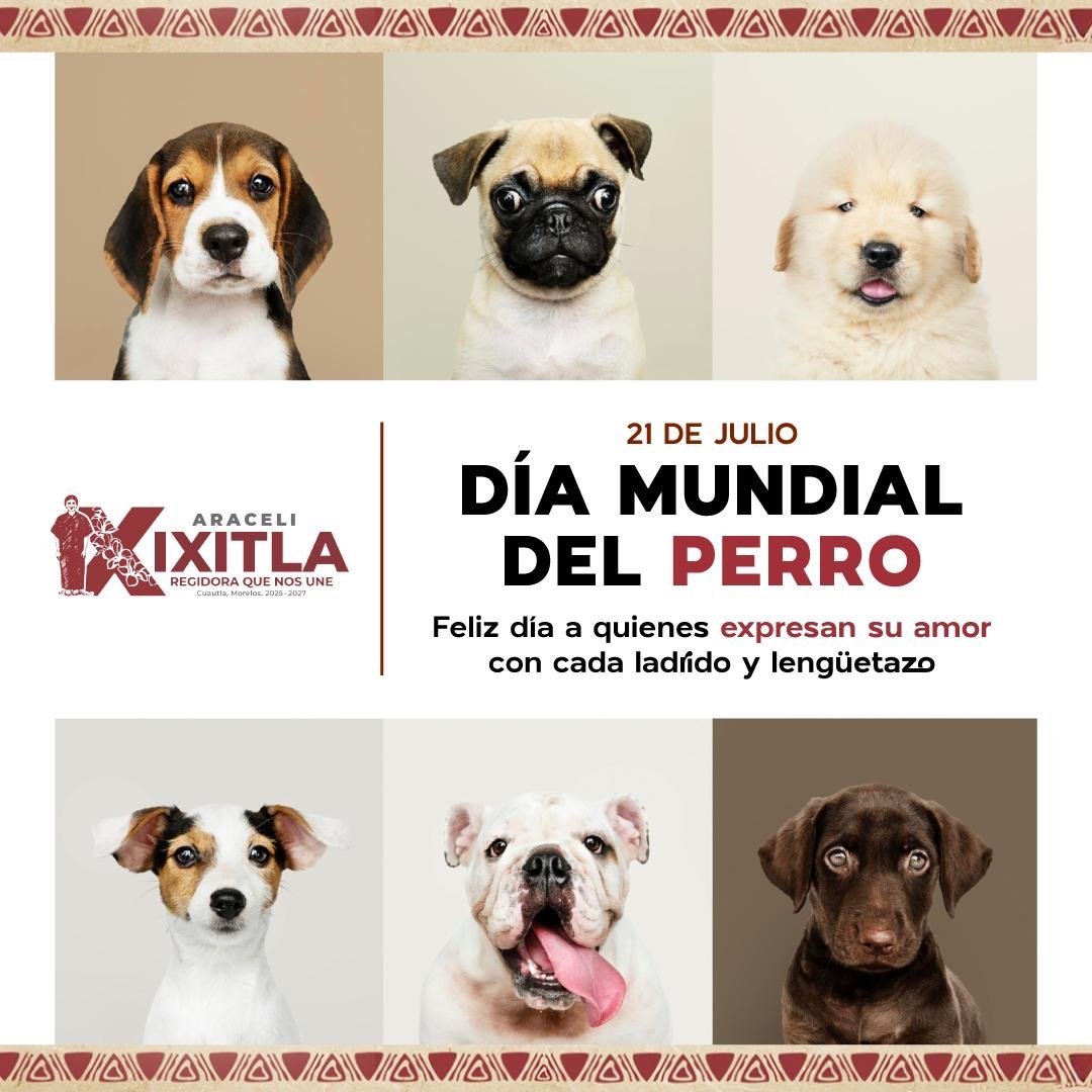 sheep img cliente xixitla5