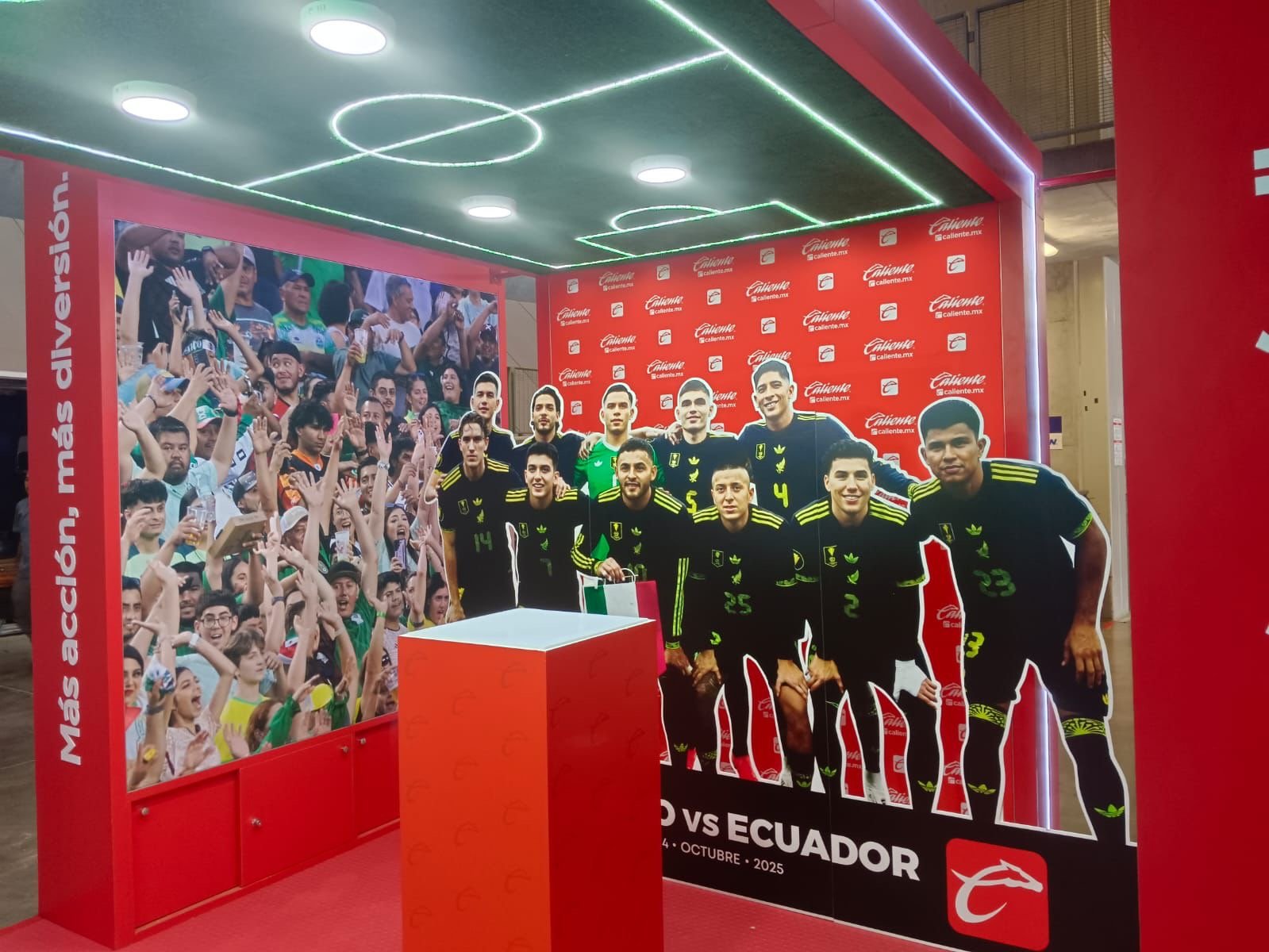 sheep stand cliente caliente1